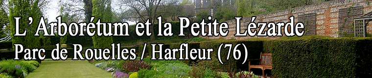 L'Arborétum, Harfleur - Parc de Rouelles, Dimanche 11 juin 2023